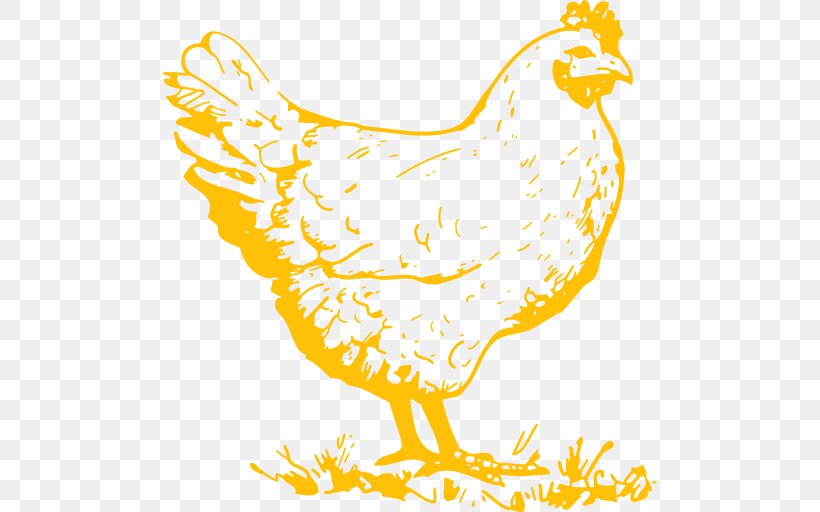 Cochin Chicken Plymouth Rock Chicken Clip Art Chicken As Food Illustration, PNG, 494x512px, Cochin Chicken, Animal Figure, Beak, Bird, Chicken Download Free