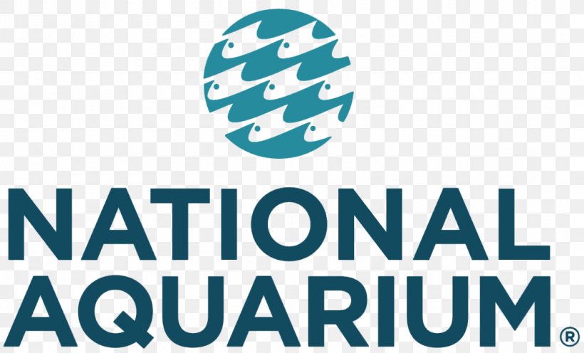 National Aquarium National Academy Of Health & Business Pier V Parking East Pratt Street Public Aquarium, PNG, 1051x636px, National Aquarium, Area, Baltimore, Blue, Brand Download Free