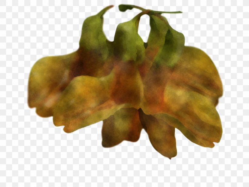 Bell Pepper Habanero Paprika Peppers Yellow Pepper, PNG, 1920x1440px, Bell Pepper, Cartoon, Habanero, Indian Cuisine, Leaf Vegetable Download Free