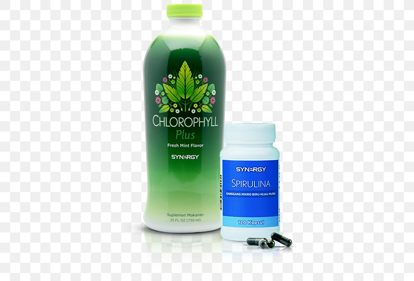 Detoxification Dietary Supplement Chlorophyll Nutrition Health, PNG, 469x556px, Detoxification, Bile, Body, Cell, Chlorophyll Download Free