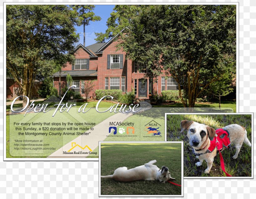Dog Breed Backyard Property Advertising, PNG, 866x674px, Dog Breed, Advertising, Backyard, Breed, Dog Download Free
