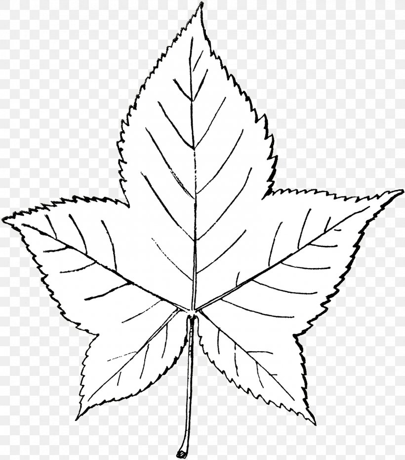 Leaf Point Flower Angle Plant Stem, PNG, 1587x1800px, Leaf, Art, Blackandwhite, Botany, Design M Group Download Free