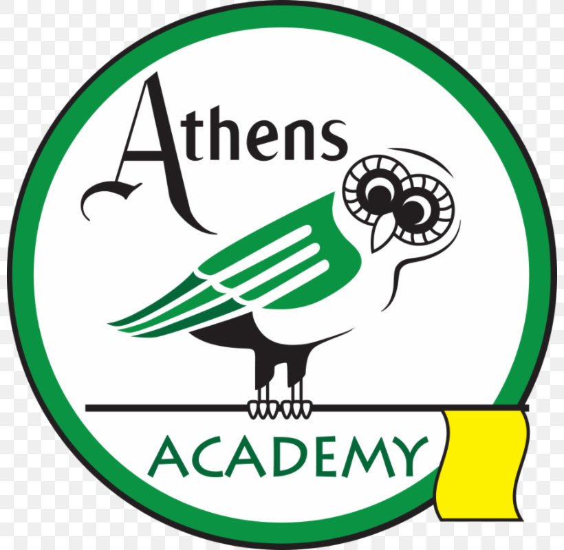 PGA TOUR Golf Athens Academy Recreation, PNG, 800x800px, Pga Tour, Area, Artwork, Athens, Beak Download Free