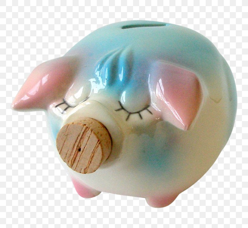 Plastic Piggy Bank Snout, PNG, 753x753px, Plastic, Bank, Piggy Bank, Snout Download Free