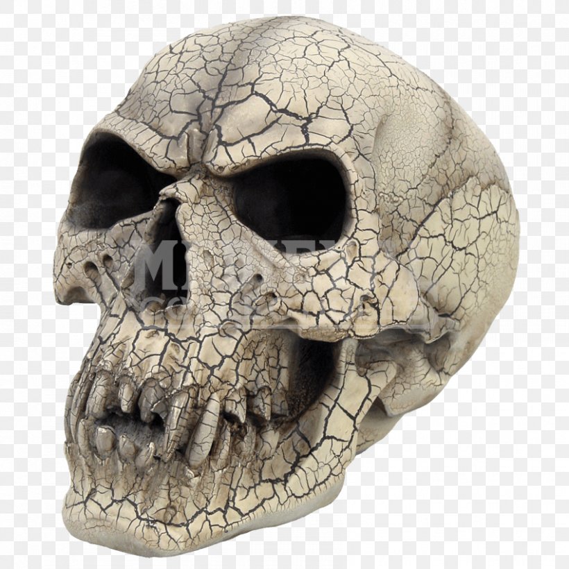 Skull Vampire Human Skeleton Gothic Fashion Head, PNG, 850x850px, Skull, Bone, Crystal Skull, Eye, Fang Download Free