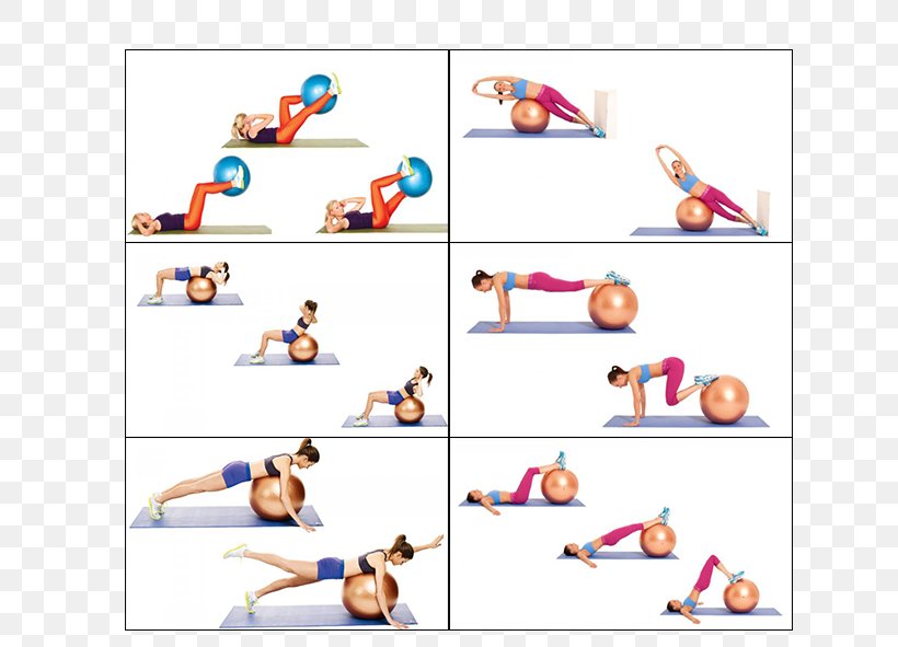 Exercise Balls Trening Kardio Sport Physical Fitness, PNG, 787x591px, Ball, Area, Arm, Exercise Balls, Joint Download Free