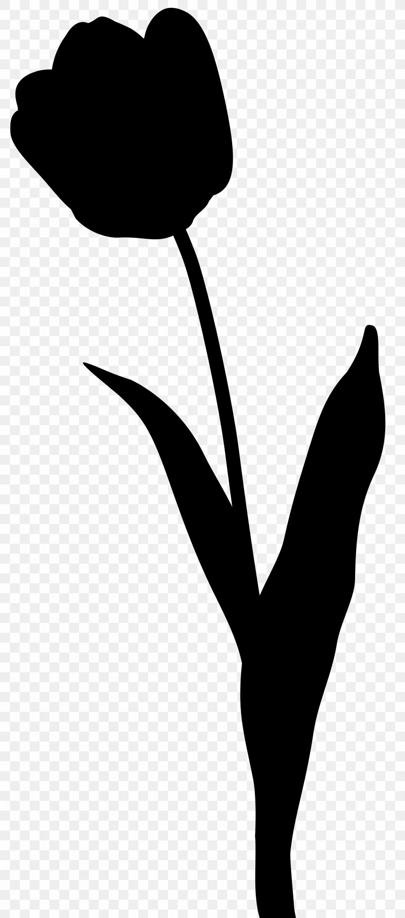 Flowering Plant Clip Art Silhouette Line, PNG, 3531x8000px, Flower, Beak, Blackandwhite, Botany, Flowering Plant Download Free
