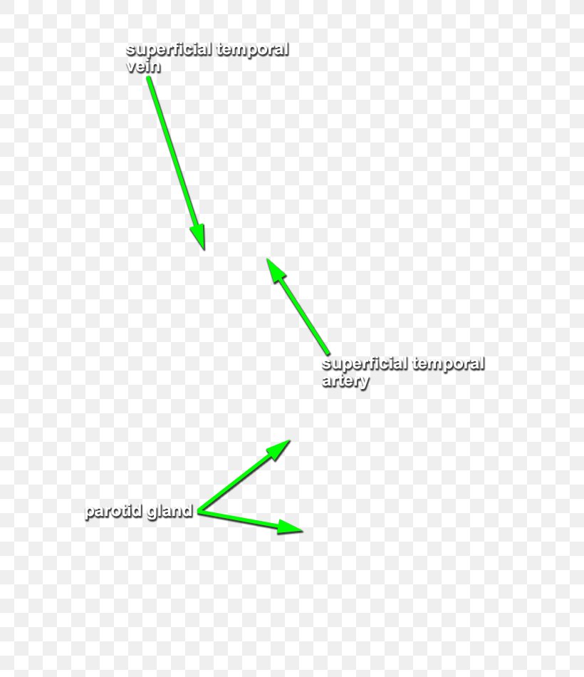 Line Angle Font, PNG, 631x950px, Green, Area, Diagram, Grass, Text Download Free