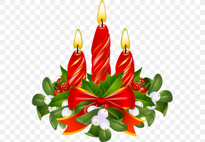 Mistletoe Christmas Phoradendron Tomentosum Holly Clip Art, PNG, 563x570px, Mistletoe, Christmas, Christmas Candle, Christmas Decoration, Christmas Ornament Download Free