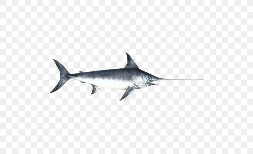 Swordfish Atlantic Blue Marlin, PNG, 500x500px, Swordfish, Atlantic Blue Marlin, Billfish, Black Marlin, Bony Fish Download Free