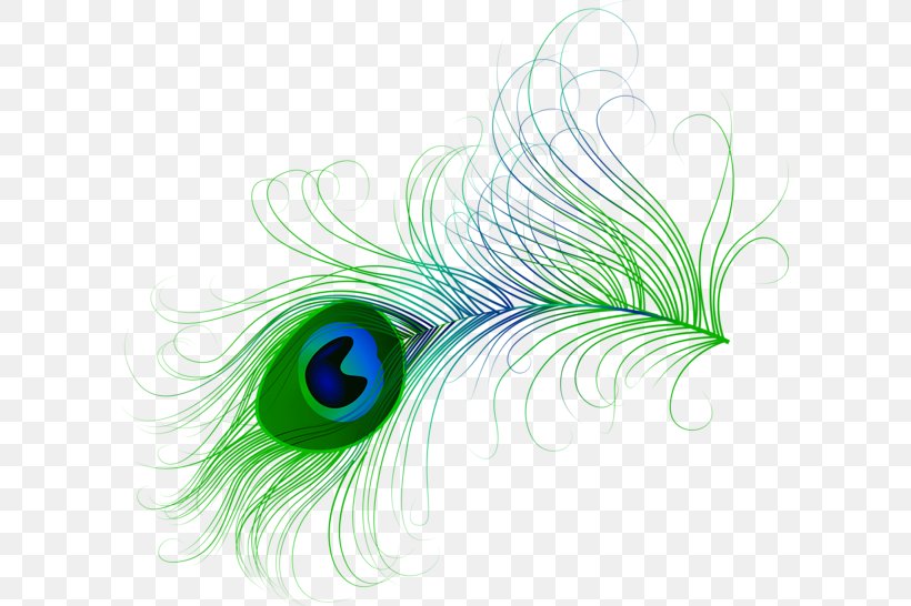 Feather Peafowl Bird Clip Art, PNG, 600x546px, Feather, Aqua, Bird, Close Up, Drawing Download Free