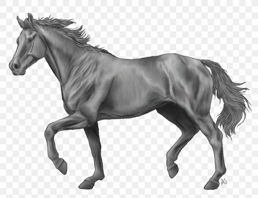 Thoroughbred Andalusian Horse American Paint Horse Howrse Stallion, PNG, 934x719px, Thoroughbred, American Paint Horse, Andalusian Horse, Arabian Horse, Belgian Horse Download Free