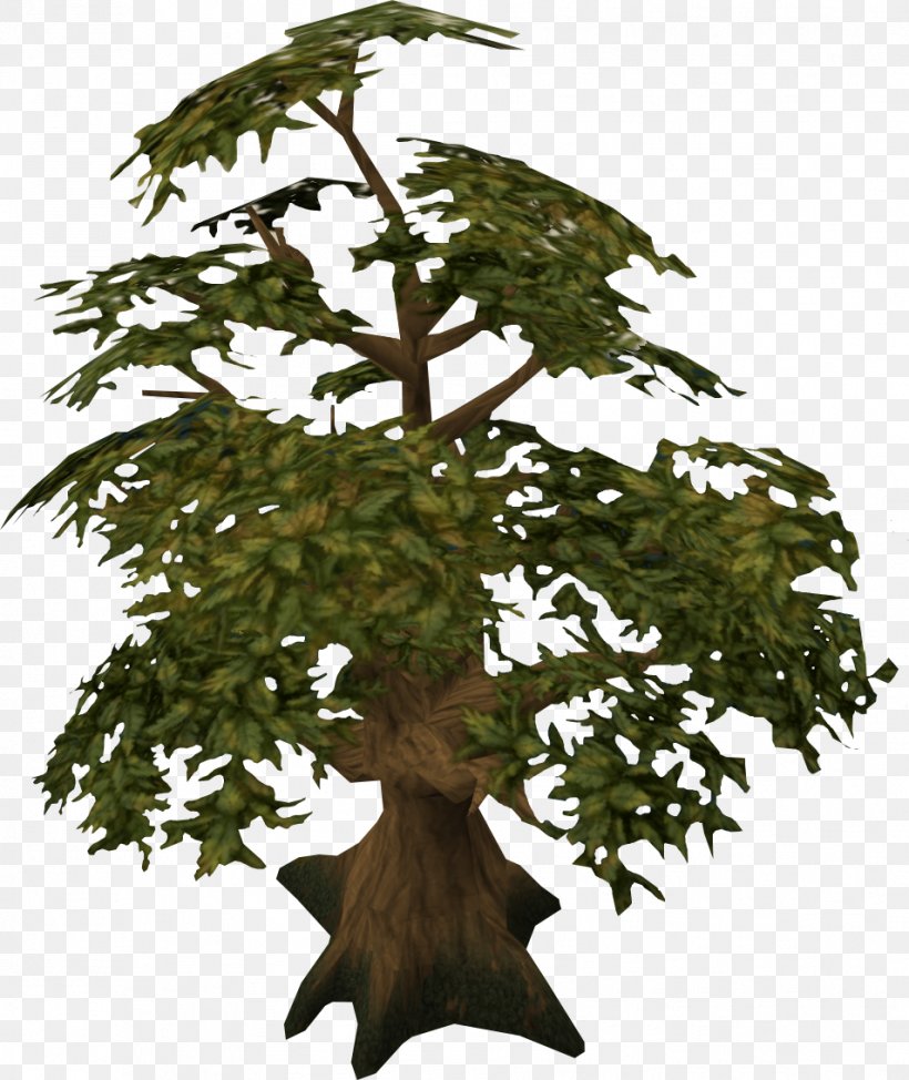 Tree Oak Woody Plant RuneScape, PNG, 954x1134px, Tree, Bonsai, Branch, Experience Point, Flowerpot Download Free