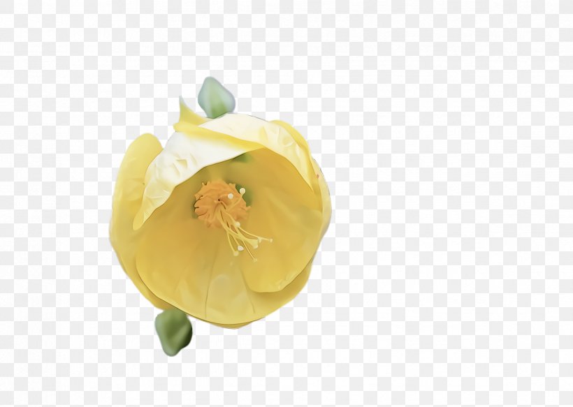 Yellow Plant Food Flower Petal, PNG, 2372x1688px, Yellow, Cuisine, Flower, Food, Ingredient Download Free