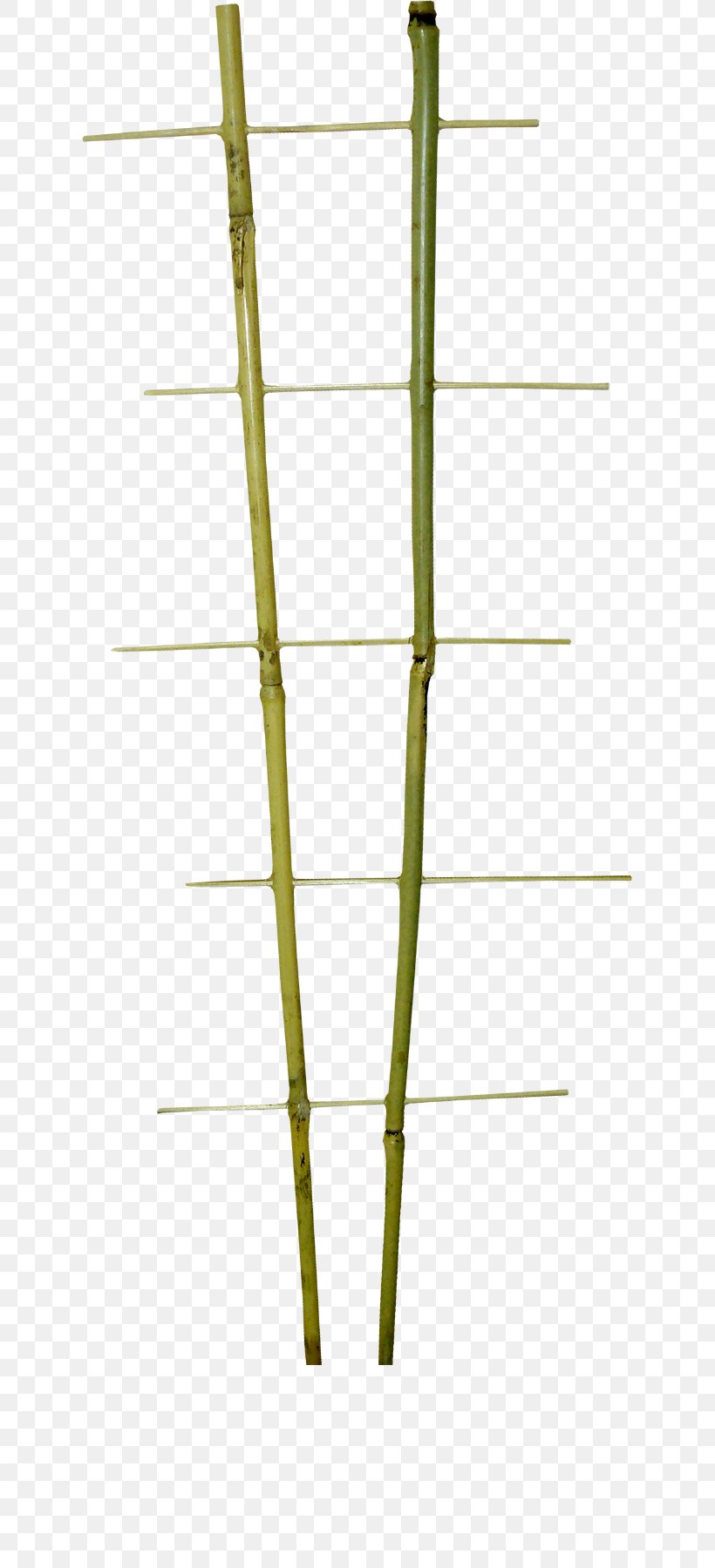 Bamboo Line Angle, PNG, 631x1800px, Bamboo, Grass Family, Plant Stem Download Free