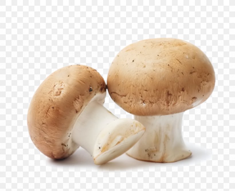 Common Mushroom Edible Mushroom Food Fungus, PNG, 858x700px, Mushroom, Agaricaceae, Agaricomycetes, Agaricus, Boletus Edulis Download Free