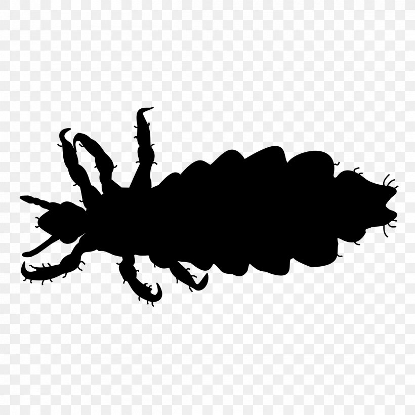 Crab Louse Insect Body Louse Infestation, PNG, 2400x2400px, Louse, Blood, Body Louse, Cabelo, Crab Louse Download Free