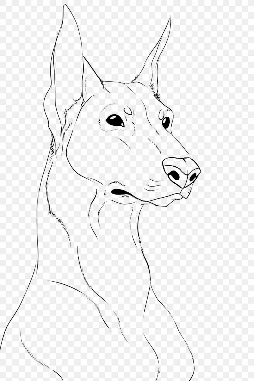 Dobermann German Shepherd Drawing Line Art Sketch, PNG, 1024x1536px, Dobermann, Art, Artwork, Black And White, Carnivoran Download Free