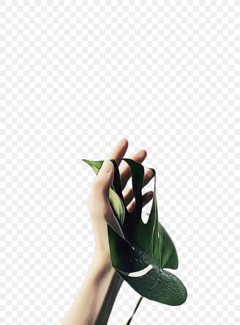 Green Leaf Background, PNG, 1720x2324px, Monstera Leaf, Advertising, Anthurium, Awareness, Finger Download Free