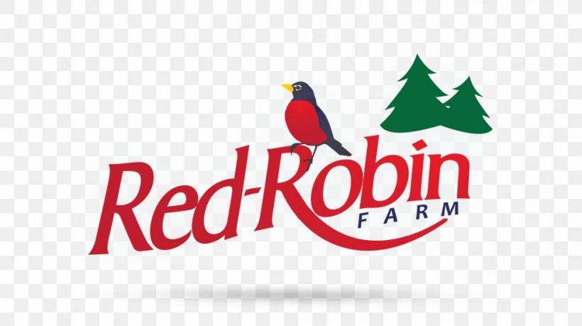 Red Robin Restaurant Logo Hamburger Food, PNG, 988x554px, Red Robin, Advertising, Artwork, Beak, Brand Download Free