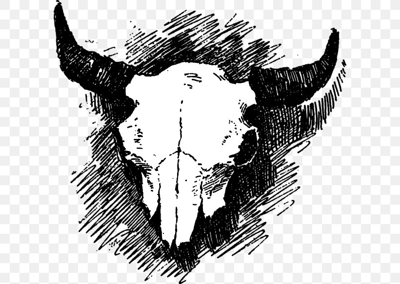 Skull Cattle Visual Arts, PNG, 600x583px, Skull, Art, Black And White, Bone, Cattle Download Free