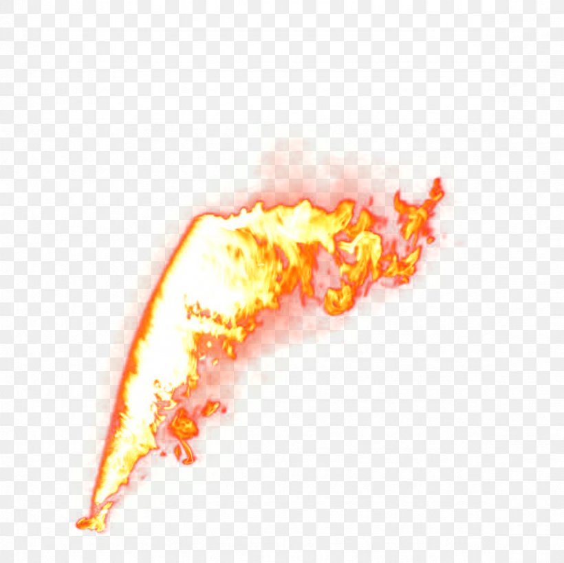 Fire Flame Combustion, PNG, 2362x2362px, Fire, Classical Element, Color, Combustion, Flame Download Free
