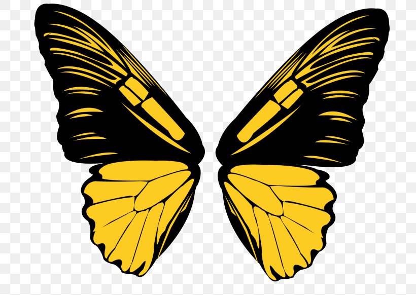 Butterfly Stock Photography Vector Graphics Clip Art Image, PNG, 2050x1455px, Butterfly, Black, Brushfooted Butterfly, Color, Insect Download Free