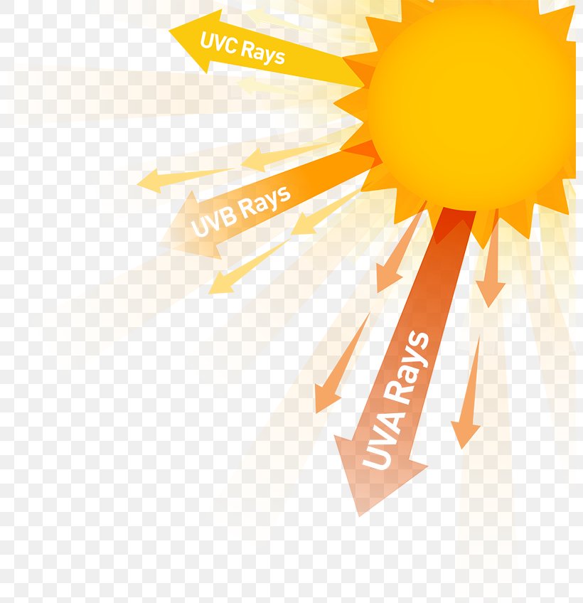 Health Effects Of Sunlight Exposure Ultraviolet Radiation, PNG, 800x848px, Light, Brand, Burn, Cataract, Eye Download Free