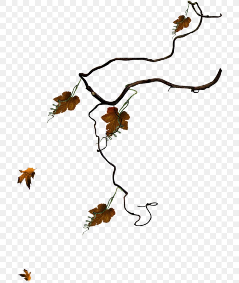 Leaf Twig Clip Art, PNG, 706x971px, Leaf, Artwork, Autumn Leaf Color, Branch, Brown Download Free