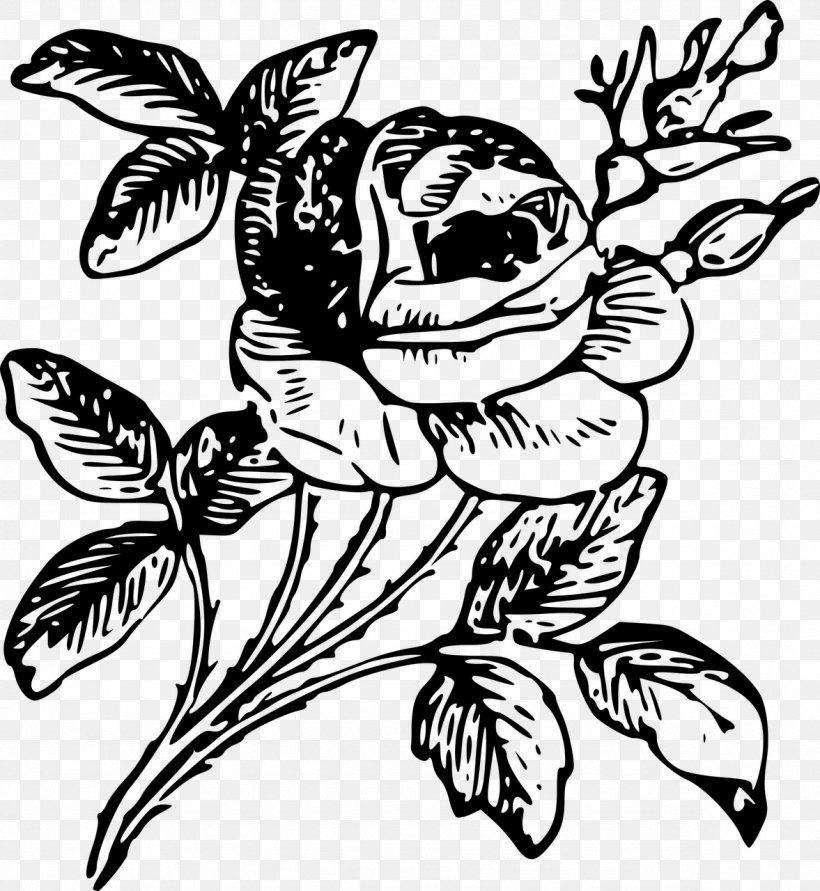 Rose Engraving Etching Flower, PNG, 1177x1280px, Rose, Art, Artwork, Black And White, Drawing Download Free