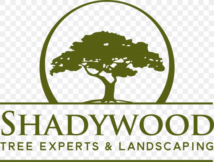Shadywood Tree Experts Inc. Logo Transport, PNG, 1500x1137px, Shadywood Tree Experts, Area, Brand, Grass, Green Download Free