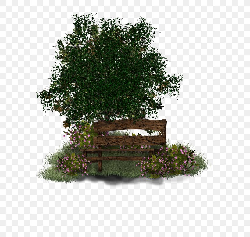 Tree Garden Psd Shrub, PNG, 600x777px, Tree, Author, Birthday, Flower, Flowerpot Download Free