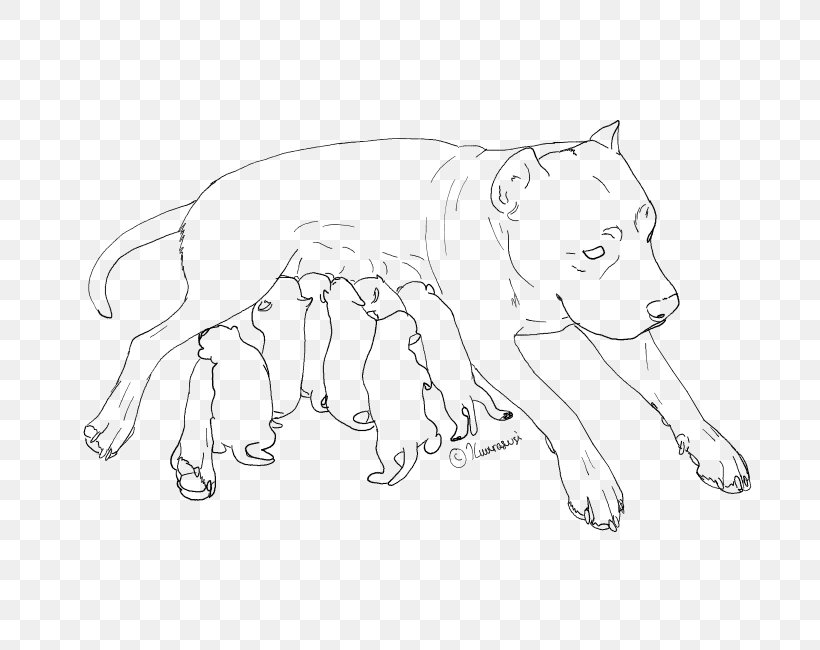 American Pit Bull Terrier Line Art Drawing Puppy, PNG, 700x650px, Pit Bull, American Bully, American Pit Bull Terrier, Animal, Animal Figure Download Free