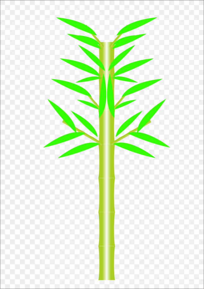 Bamboo, PNG, 2484x3512px, Bamboo, Bamboe, Computer Graphics, Grass, Grass Family Download Free