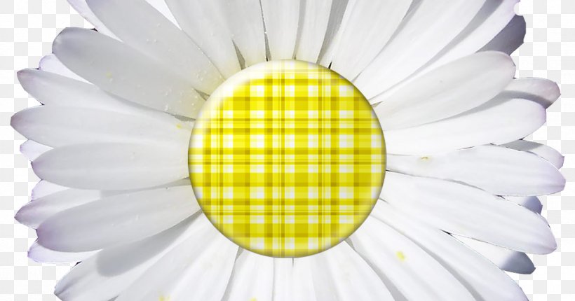 Common Daisy Digital Scrapbooking Paper, PNG, 1200x630px, Common Daisy, Craft, Cut Flowers, Daisy, Daisy Family Download Free