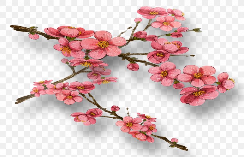 Common Plum Flower Plum Blossom, PNG, 1006x647px, Common Plum, Blossom, Branch, Cherry Blossom, Flower Download Free