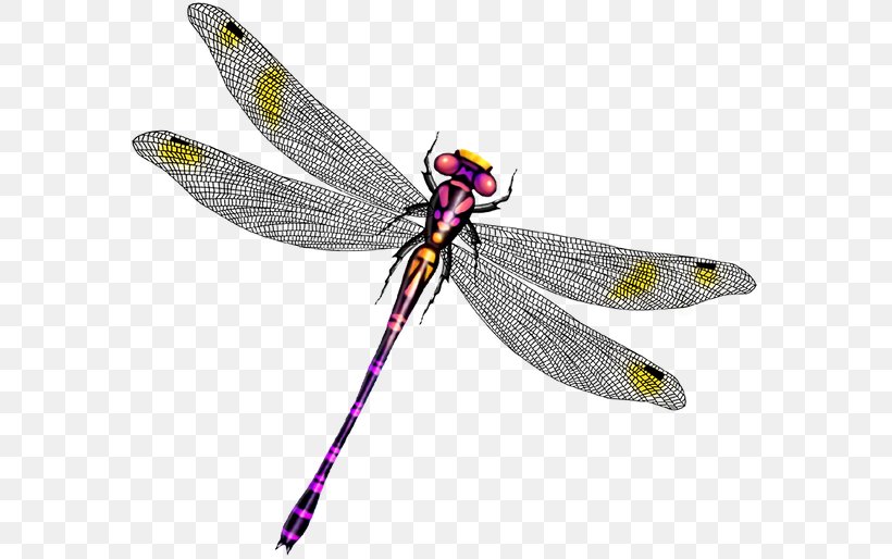 Dragonfly Insect Butterfly, PNG, 600x514px, Dragonfly, Animal, Arthropod, Butterfly, Cartoon Download Free
