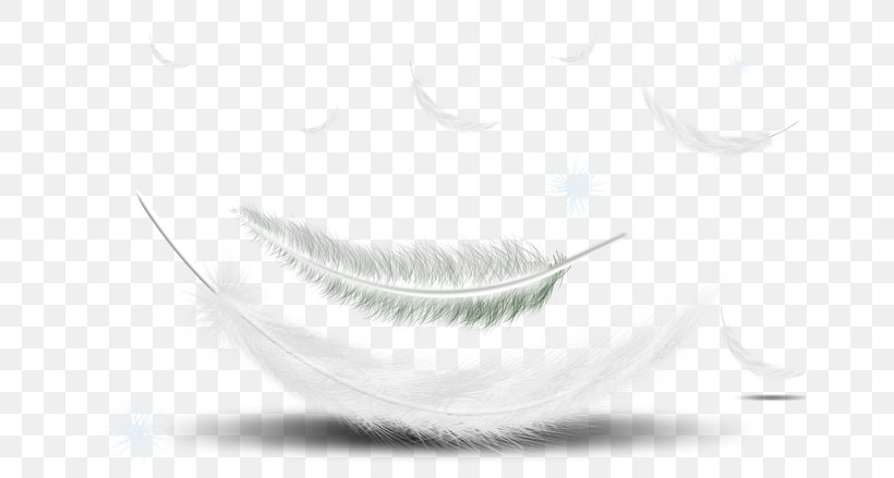 Feather Black And White Download Clip Art, PNG, 658x439px, Feather, Black, Black And White, Close Up, Copyright Download Free