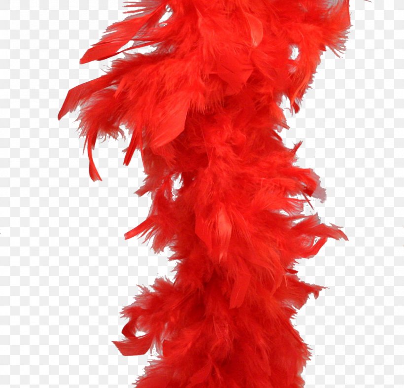Feather Boa Boa Constrictor Clothing Accessories, PNG, 999x959px, Feather Boa, Boa Constrictor, Clothing, Clothing Accessories, Color Download Free