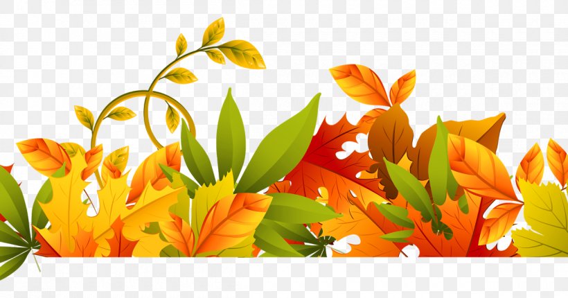 Lily Flower Cartoon, PNG, 1200x630px, Autumn, Autumn Leaf Color, Daylily, Decorative Borders, English Marigold Download Free