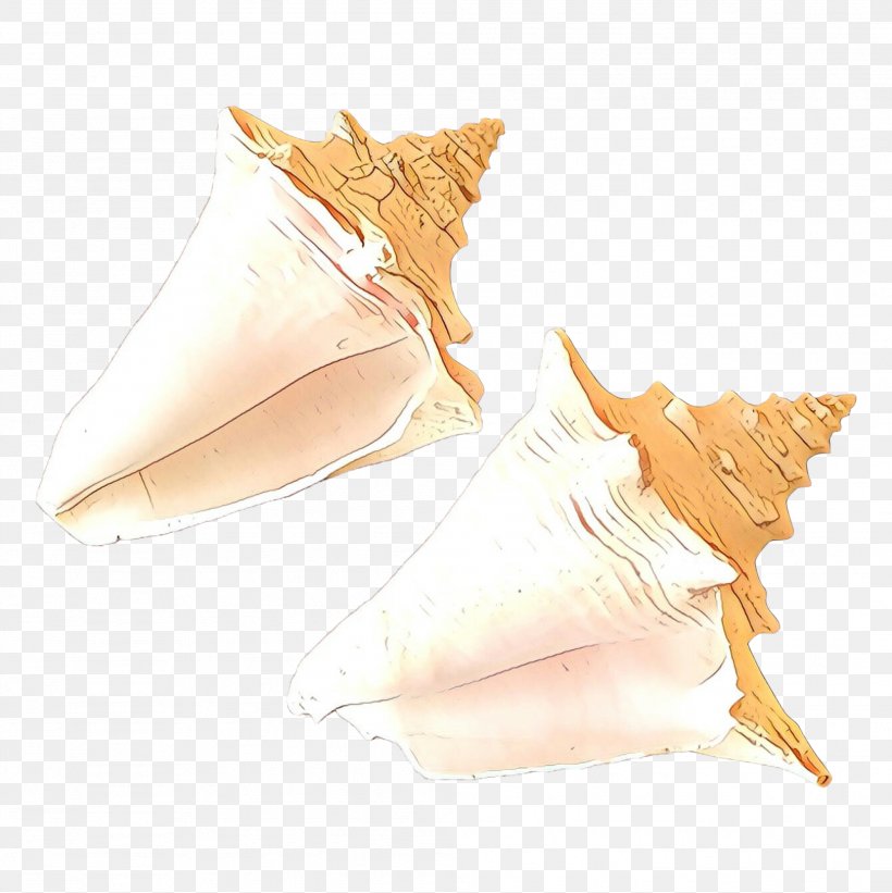 Seashell Conch, PNG, 1999x2002px, Seashell, Conch, Drawing, Hand, Shankha Download Free