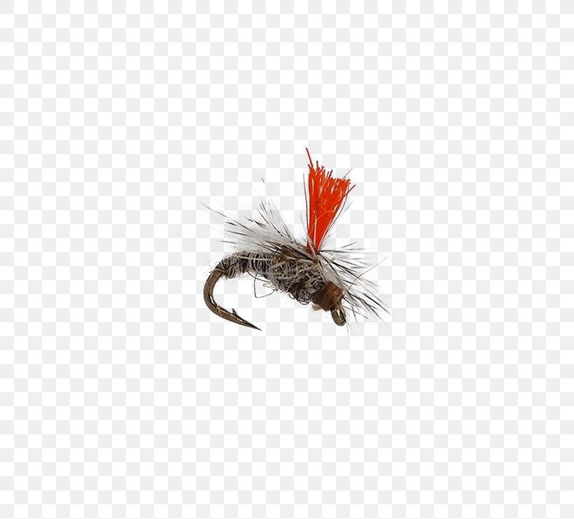 Fly Fishing Artificial Fly Fishing Baits & Lures Recreational Fishing, PNG, 555x741px, Fly Fishing, Arthropod, Artificial Fly, Fish Stocking, Fishing Download Free