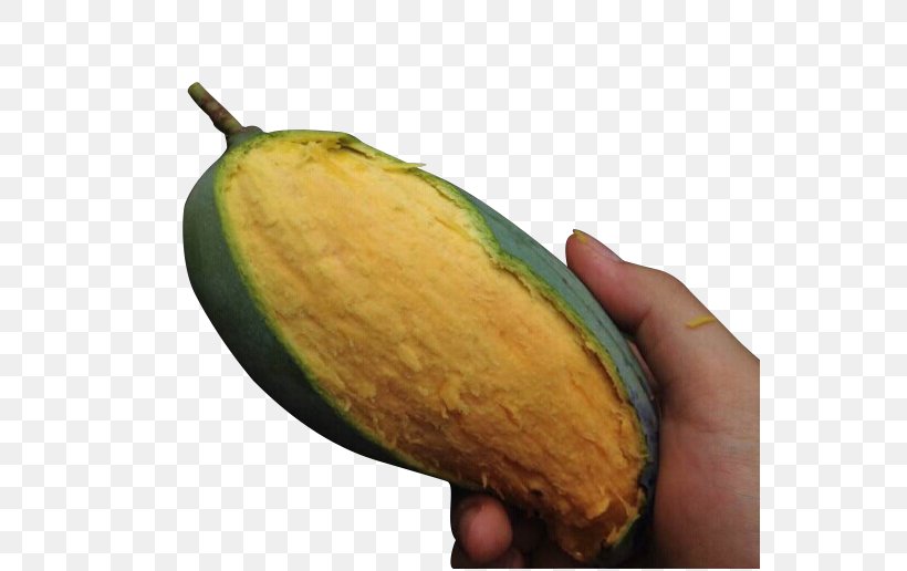 Mango Qingpi Avocado Download, PNG, 554x516px, Mango, Auglis, Avocado, Food, Fruit Download Free