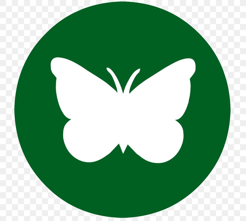 Quality Assurance Rainforest QA HQ Business Amazon Rainforest, PNG, 736x736px, Quality Assurance, Amazon Rainforest, Brush Footed Butterfly, Business, Butterfly Download Free