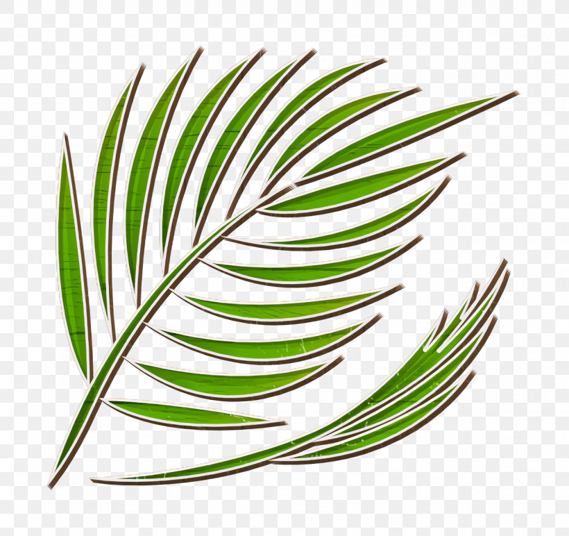 Summer Icon Palm Icon, PNG, 1238x1166px, Summer Icon, Biology, Geometry, Grasses, Leaf Download Free