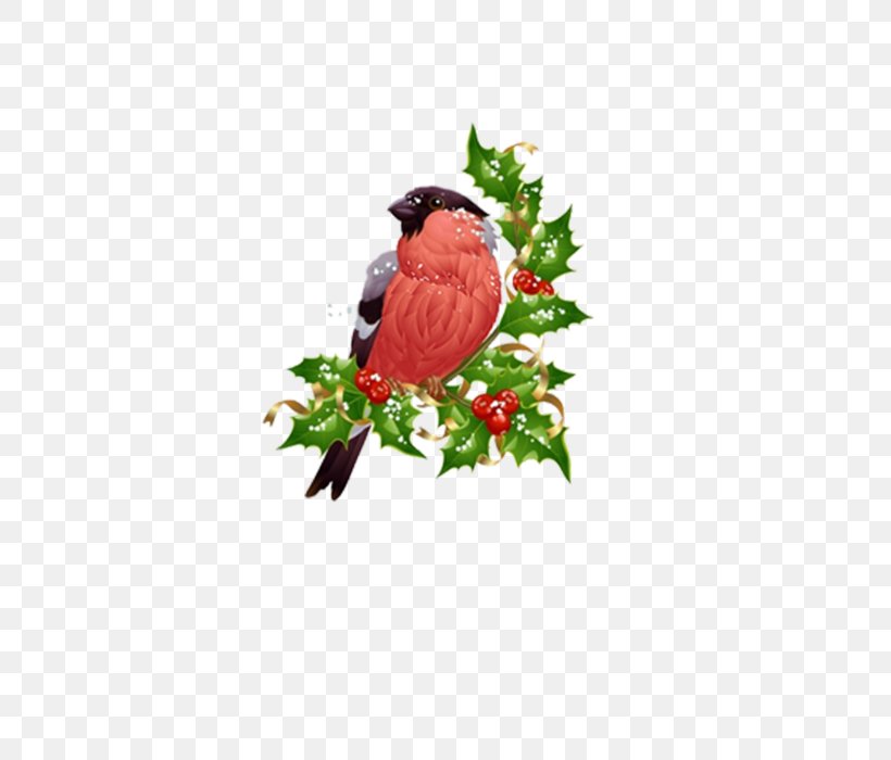 Background Family Day, PNG, 700x700px, Christmas Ornament, Beak, Bird, Branch, Branching Download Free
