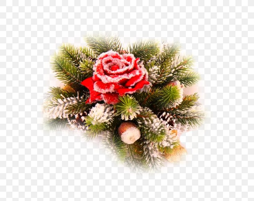 Blog Fir Flower Diary Clip Art, PNG, 650x650px, Blog, Artificial Flower, Christmas, Christmas Decoration, Christmas Ornament Download Free