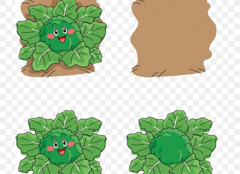Broccoli Cauliflower, PNG, 716x593px, Broccoli, Brassica Oleracea, Cartoon, Cauliflower, Floral Design Download Free