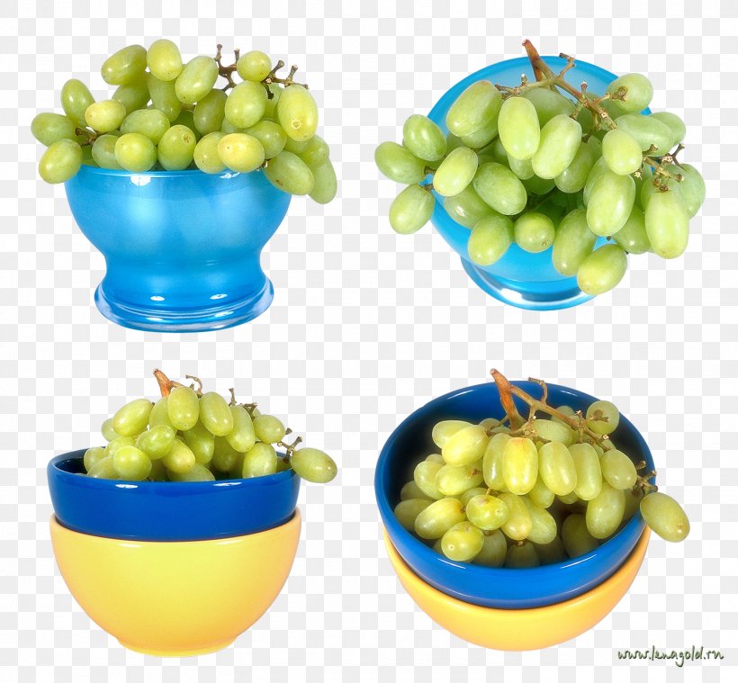 Fruit Common Grape Vine, PNG, 1469x1360px, Fruit, Common Grape Vine, Digital Image, Drawing, Food Download Free