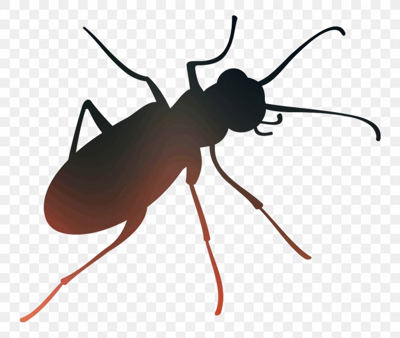 Insect Clip Art Membrane, PNG, 1300x1100px, Insect, Ant, Arthropod, Beetle, Blister Beetles Download Free